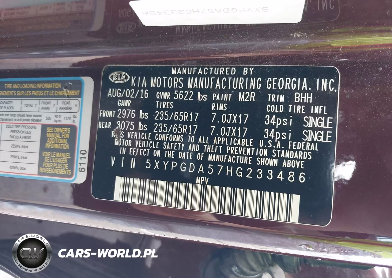 2017 Kia Sorento 3.3L Lx VIN:5XYPGDA57HG233486 - 9