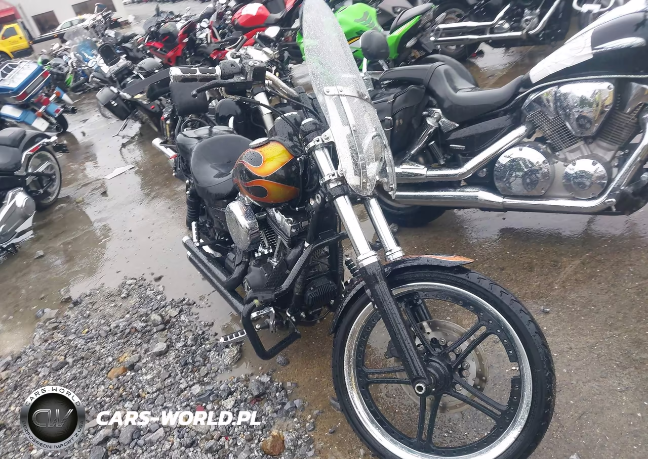 2010 Harley-Davidson Fxdwg