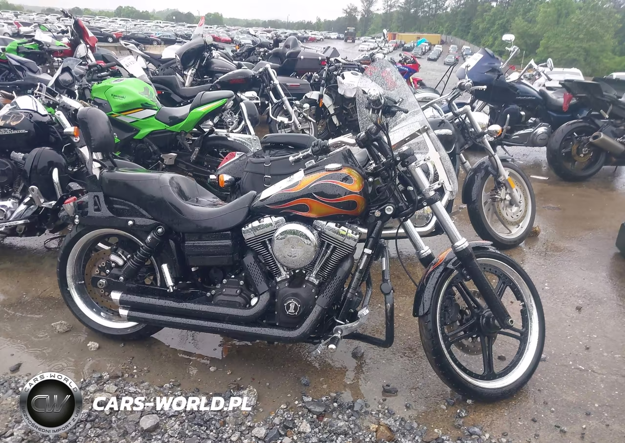 2010 Harley-Davidson Fxdwg VIN:1HD1GP412AC319877 - 12