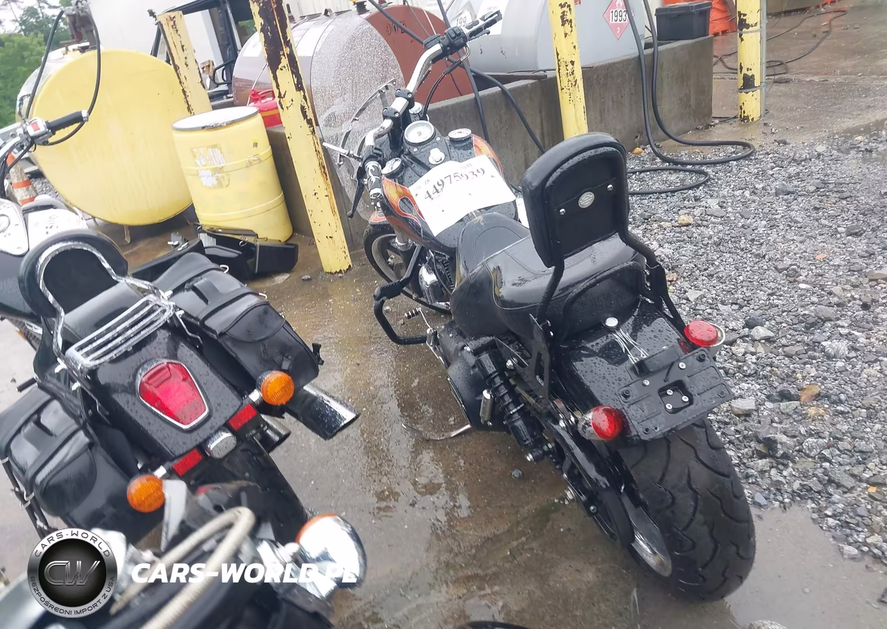2010 Harley-Davidson Fxdwg VIN:1HD1GP412AC319877 - 3