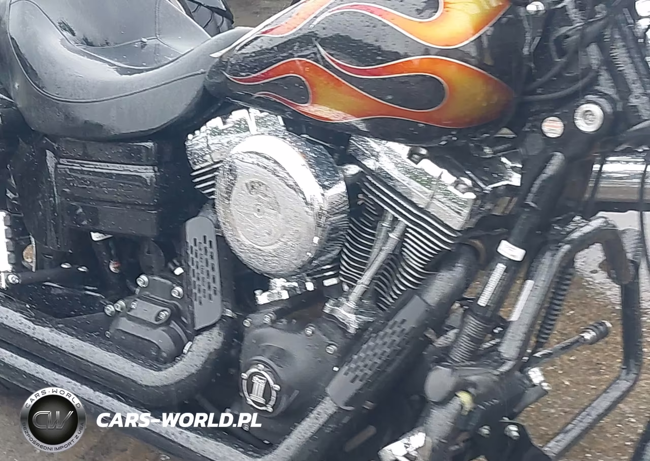 2010 Harley-Davidson Fxdwg VIN:1HD1GP412AC319877 - 8