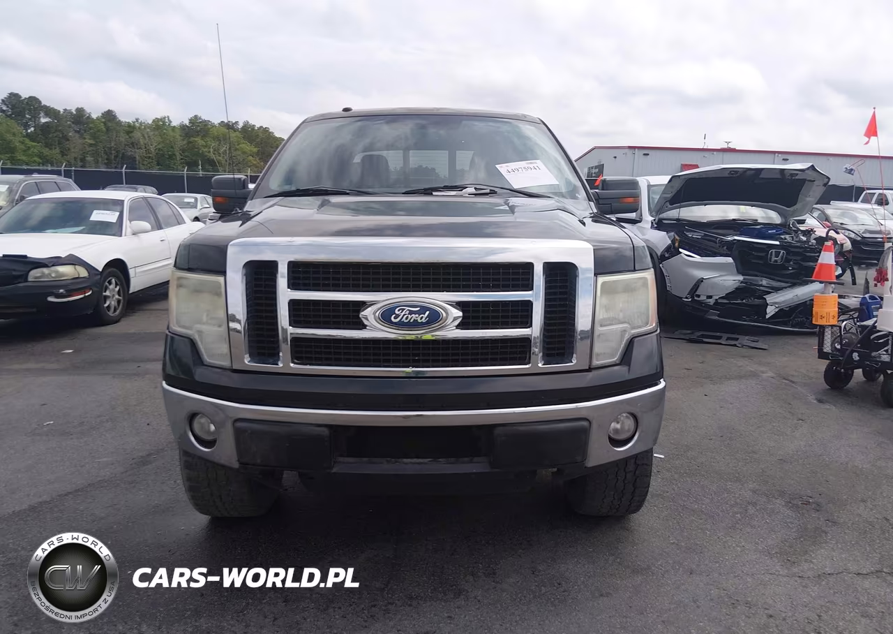 2010 Ford F-150 Fx4-Harley-Davidson-King Ranch-Lariat-Platinum-Xl-Xlt VIN:1FTFW1EV7AFB60264 - 12
