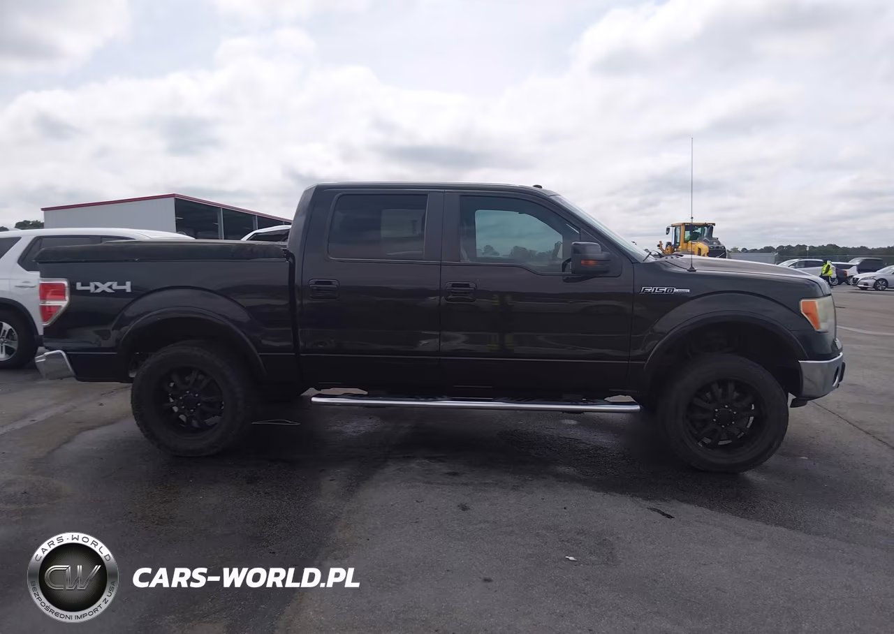 2010 Ford F-150 Fx4-Harley-Davidson-King Ranch-Lariat-Platinum-Xl-Xlt VIN:1FTFW1EV7AFB60264 - 13
