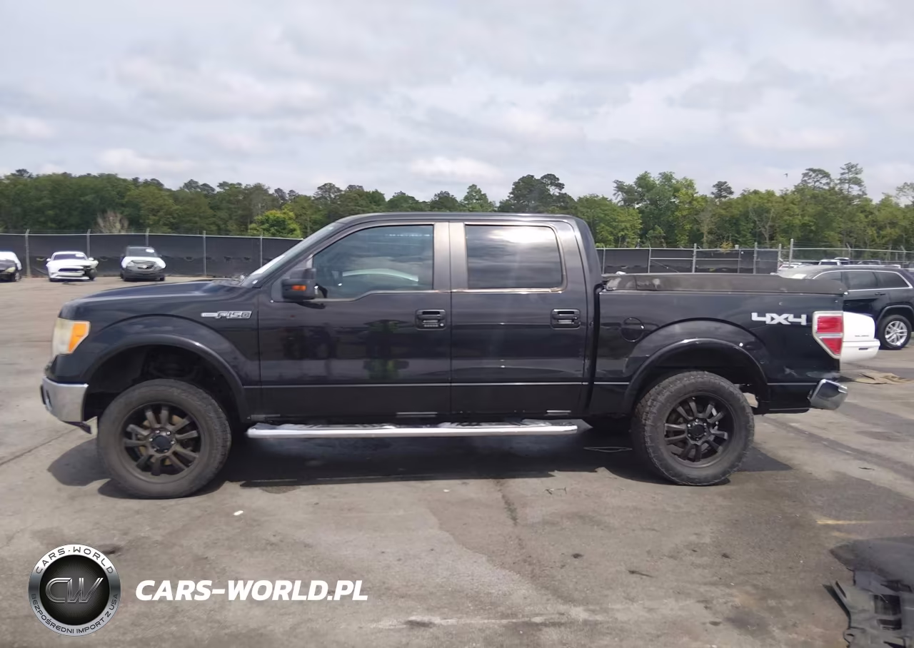 2010 Ford F-150 Fx4-Harley-Davidson-King Ranch-Lariat-Platinum-Xl-Xlt VIN:1FTFW1EV7AFB60264 - 14