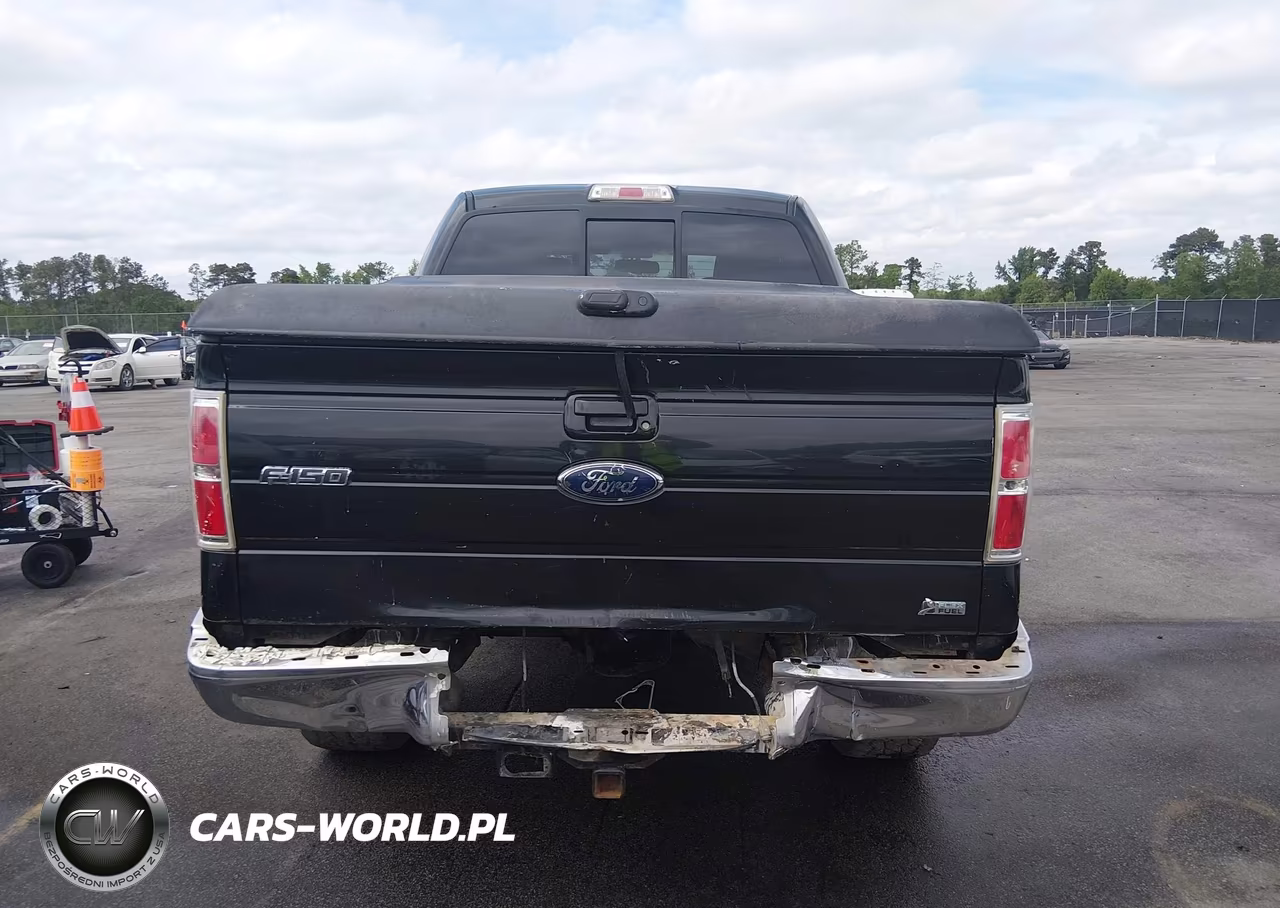 2010 Ford F-150 Fx4-Harley-Davidson-King Ranch-Lariat-Platinum-Xl-Xlt VIN:1FTFW1EV7AFB60264 - 16