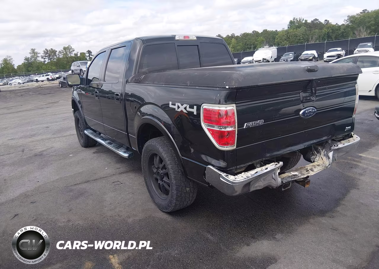2010 Ford F-150 Fx4-Harley-Davidson-King Ranch-Lariat-Platinum-Xl-Xlt VIN:1FTFW1EV7AFB60264 - 3