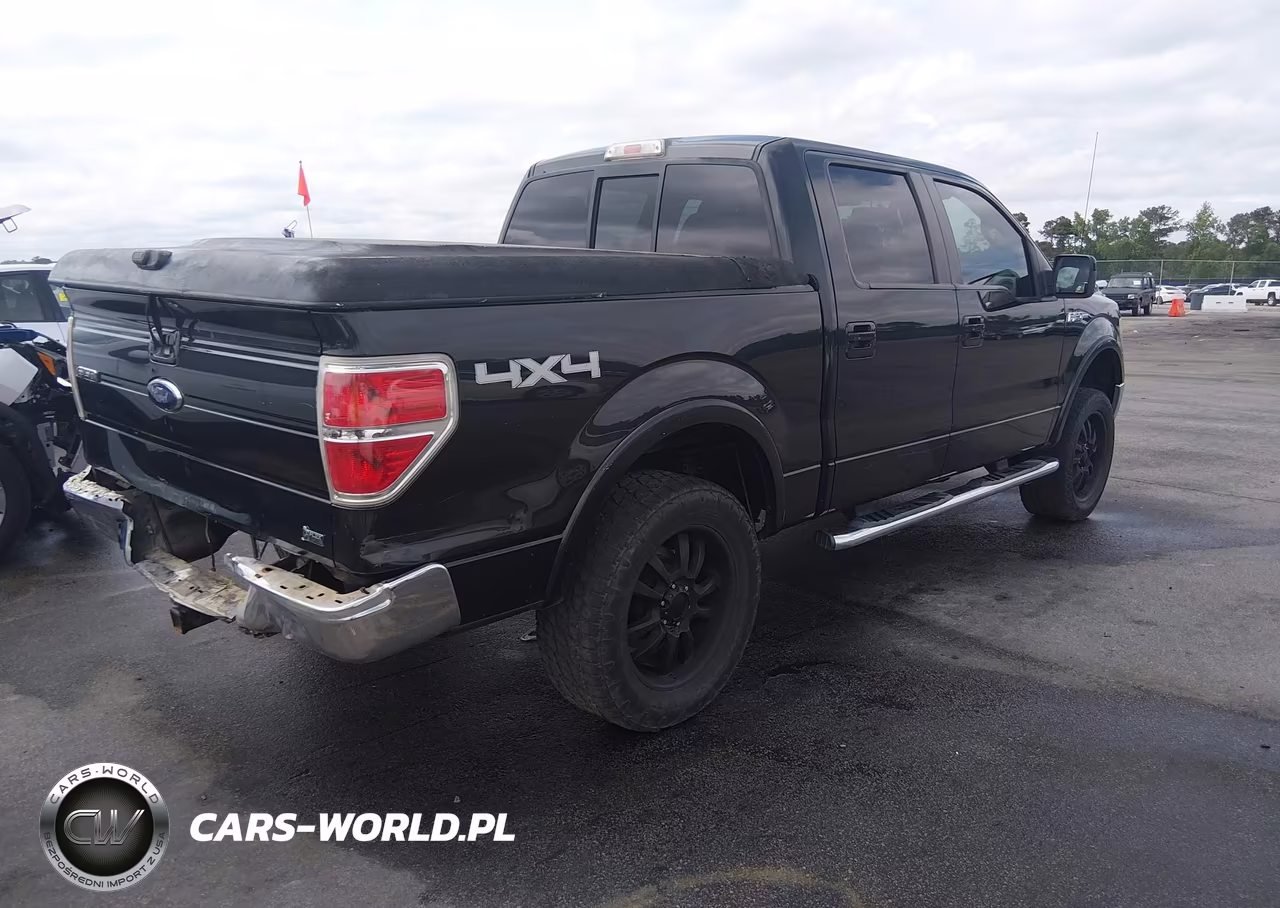 2010 Ford F-150 Fx4-Harley-Davidson-King Ranch-Lariat-Platinum-Xl-Xlt VIN:1FTFW1EV7AFB60264 - 4