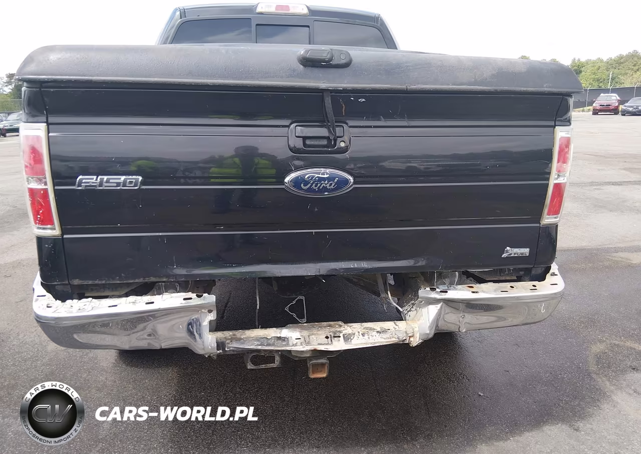 2010 Ford F-150 Fx4-Harley-Davidson-King Ranch-Lariat-Platinum-Xl-Xlt VIN:1FTFW1EV7AFB60264 - 6