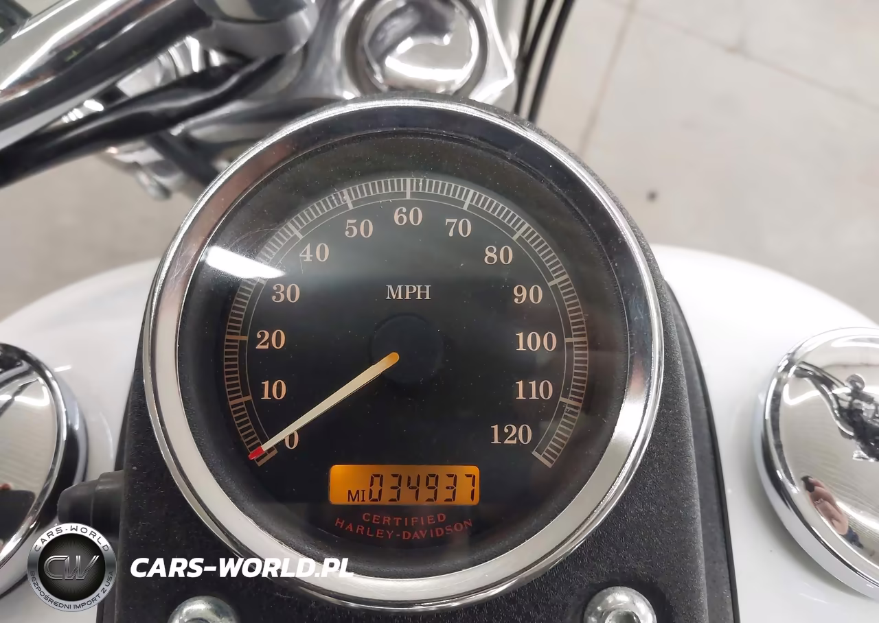 2004 Harley-Davidson Fxdl VIN:1HD1GDV184K303500 - 7