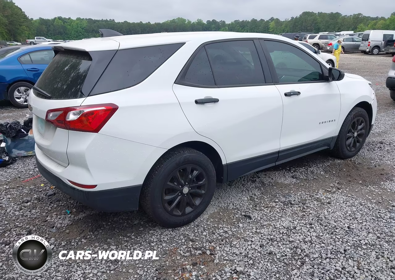 2020 Chevrolet Equinox Fwd Ls VIN:3GNAXHEV1LS508369 - 4