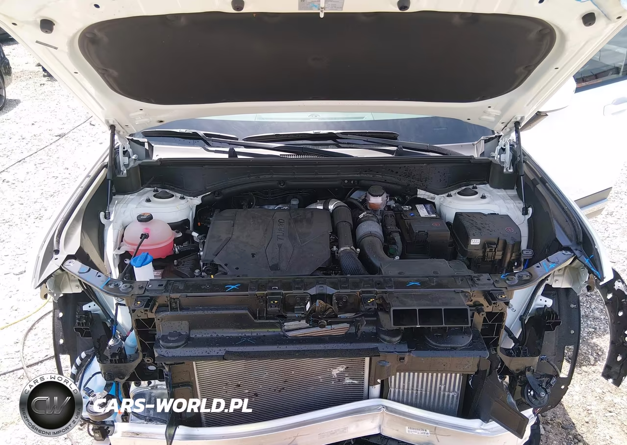 2024 Hyundai Santa Fe Limited VIN:5NMP44GL0RH026654 - 10