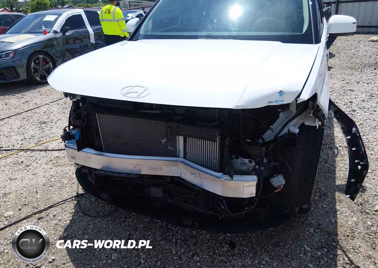 2024 Hyundai Santa Fe Limited VIN:5NMP44GL0RH026654 - 6