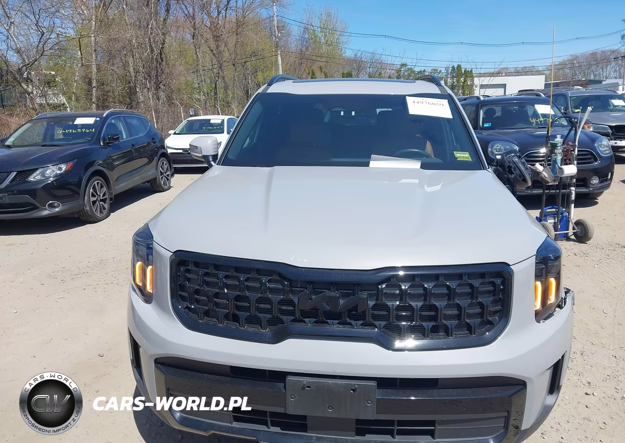 2025 Kia Telluride Ex X-Line VIN:5XYP3DGC6SG630714 - 12