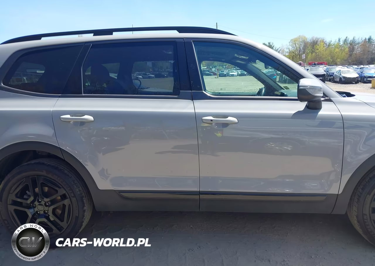2025 Kia Telluride Ex X-Line VIN:5XYP3DGC6SG630714 - 13