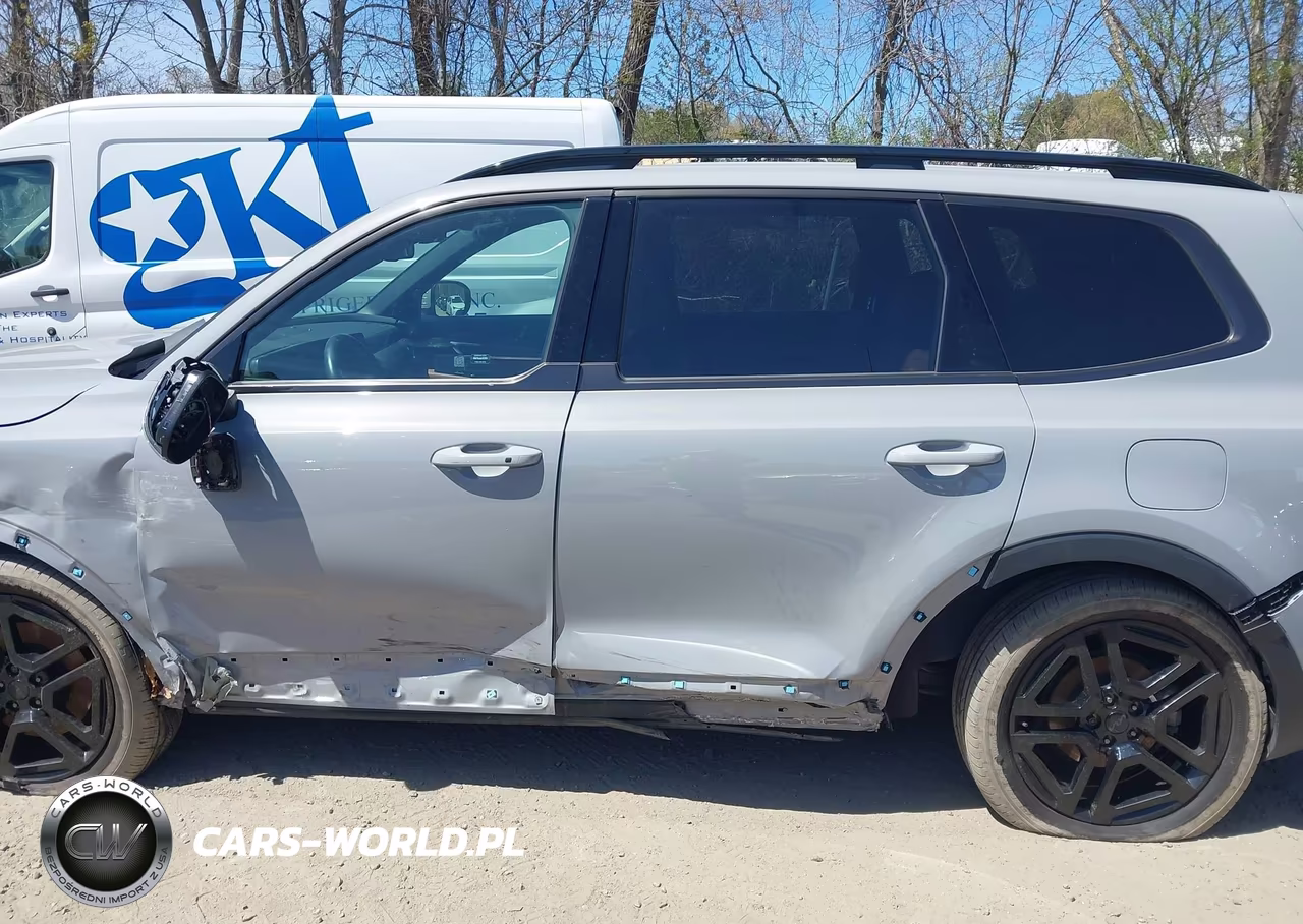 2025 Kia Telluride Ex X-Line VIN:5XYP3DGC6SG630714 - 14