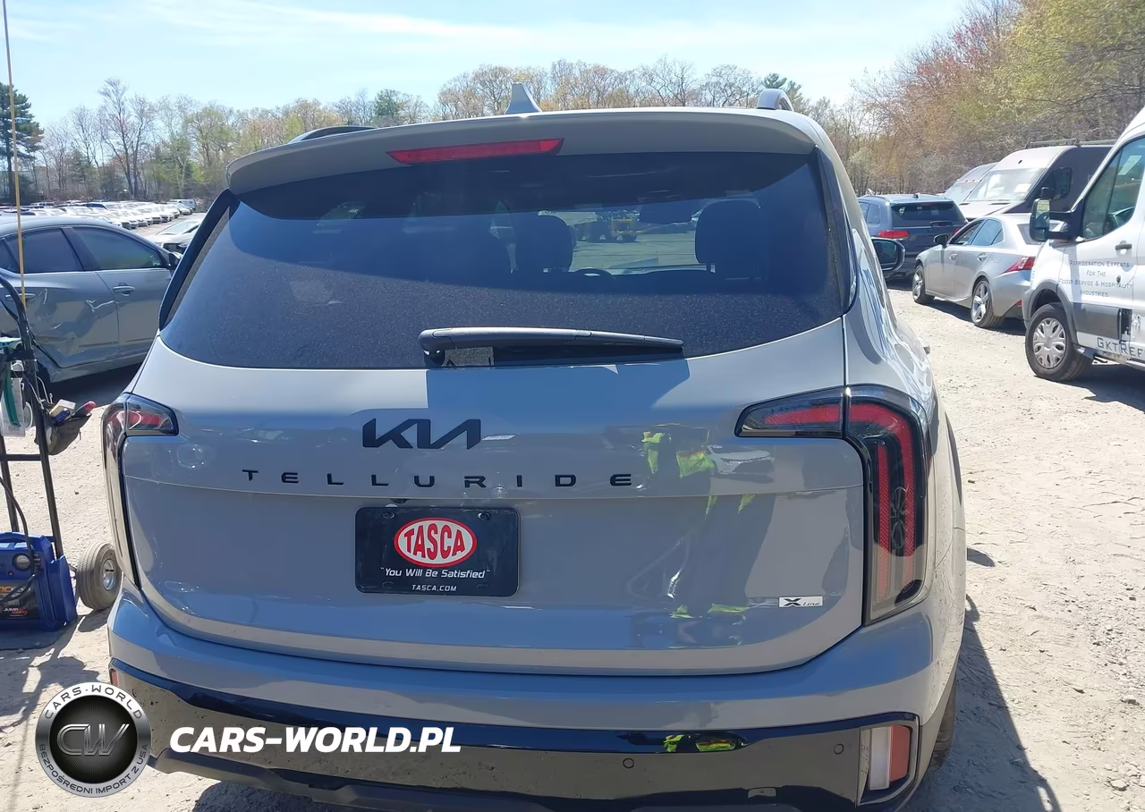 2025 Kia Telluride Ex X-Line VIN:5XYP3DGC6SG630714 - 16