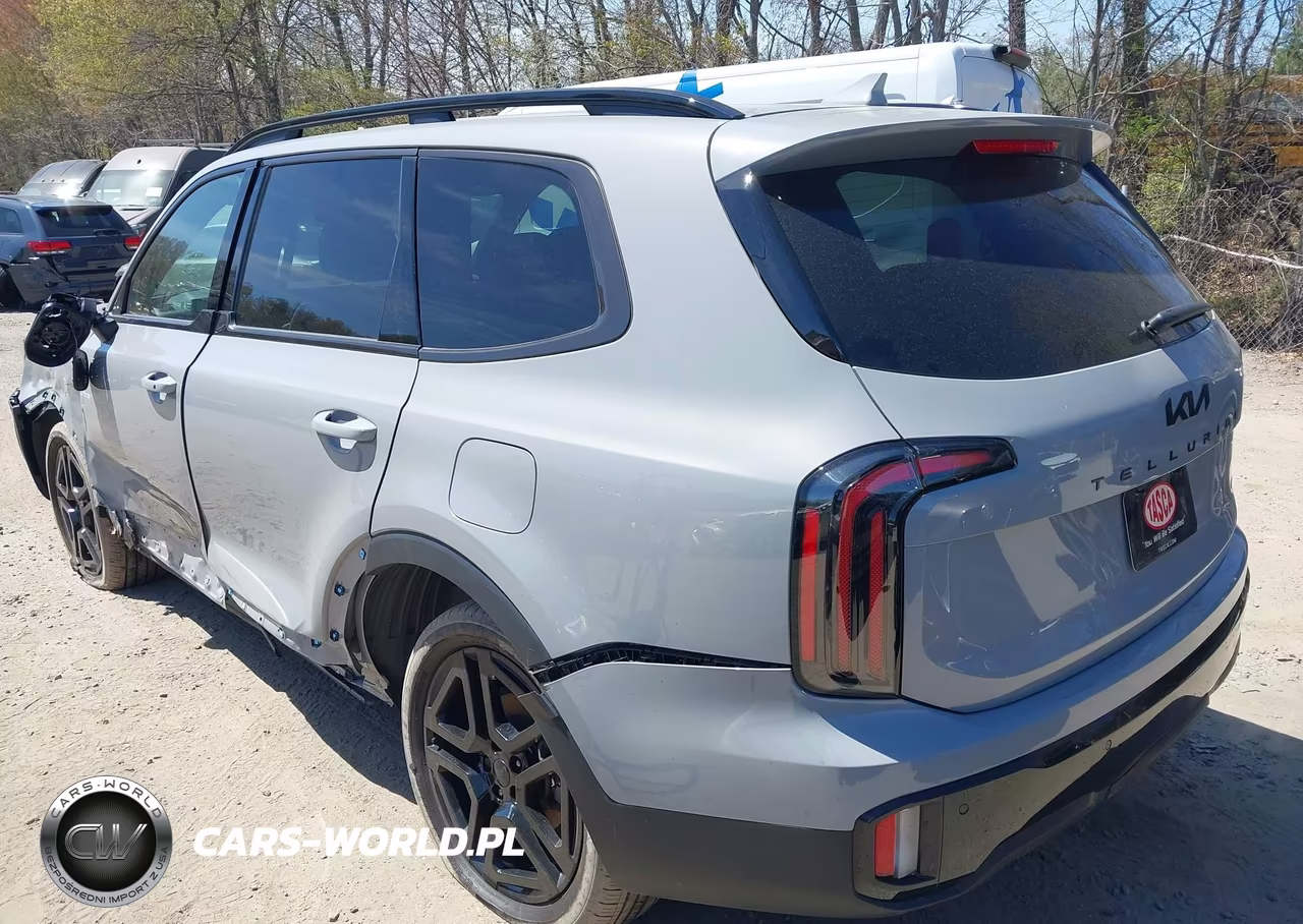 2025 Kia Telluride Ex X-Line VIN:5XYP3DGC6SG630714 - 3