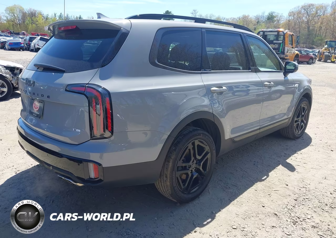 2025 Kia Telluride Ex X-Line VIN:5XYP3DGC6SG630714 - 4