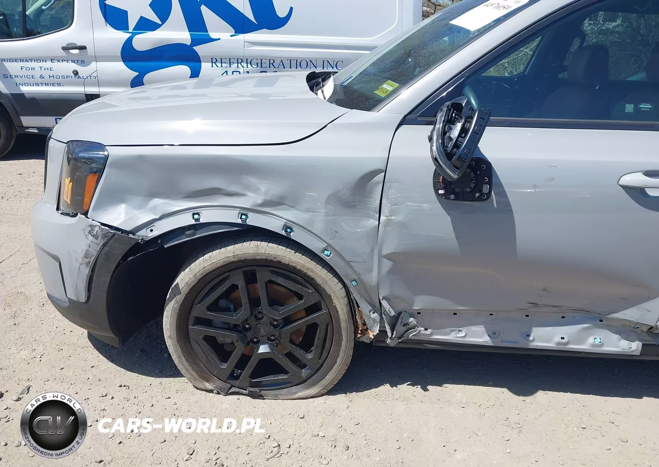 2025 Kia Telluride Ex X-Line VIN:5XYP3DGC6SG630714 - 6