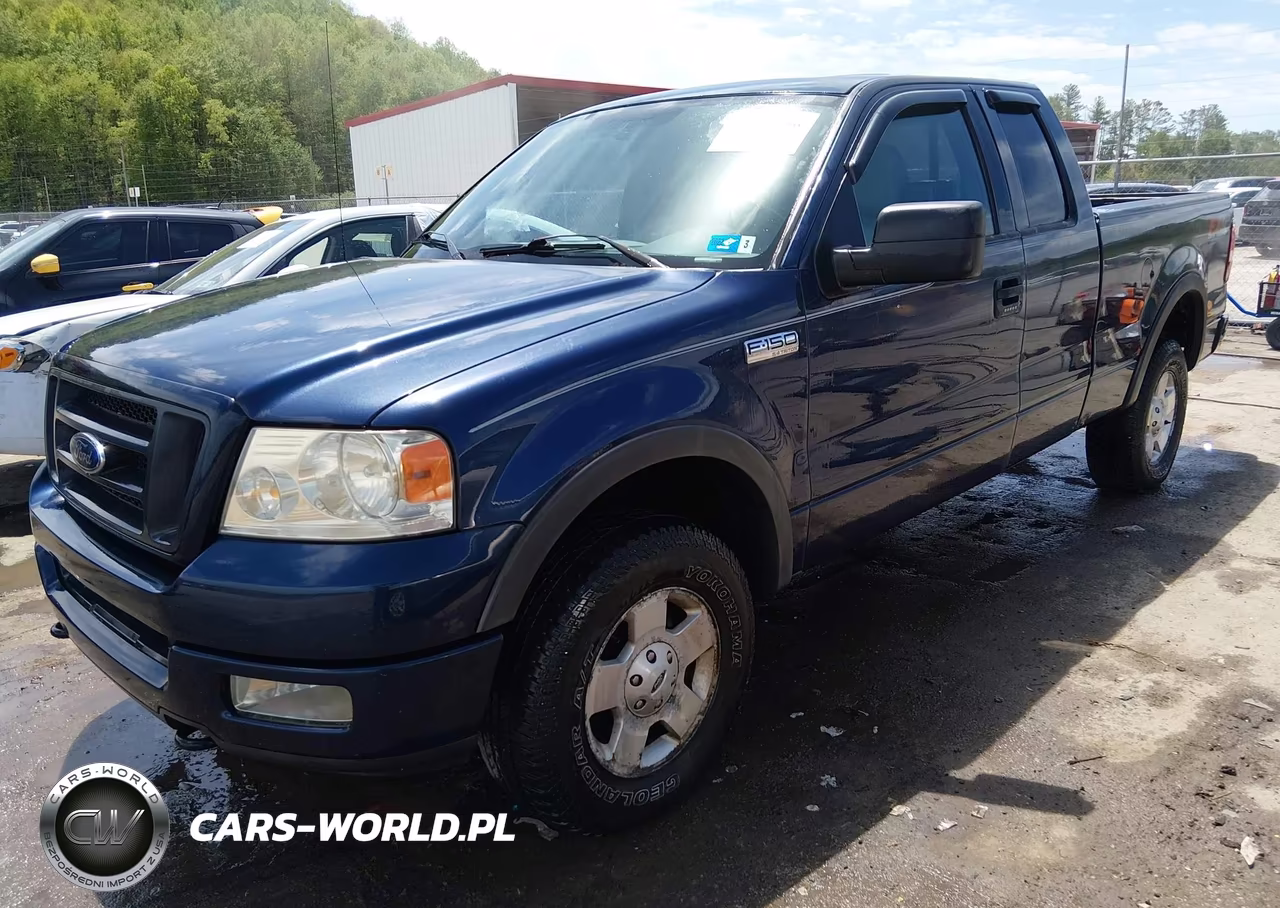 2004 Ford F-150 Fx4-Lariat-Xl-Xlt VIN:1FTPX14584NA40650 - 2