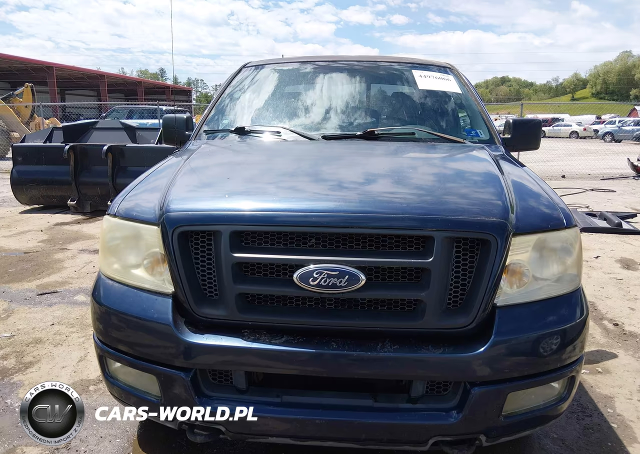 2004 Ford F-150 Fx4-Lariat-Xl-Xlt VIN:1FTPX14584NA40650 - 6