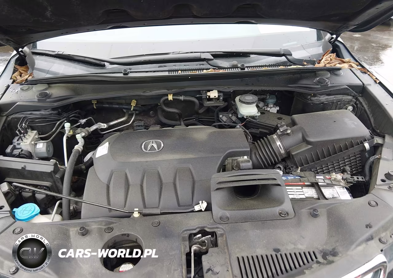 2013 Acura Rdx VIN:5J8TB3H35DL001366 - 10