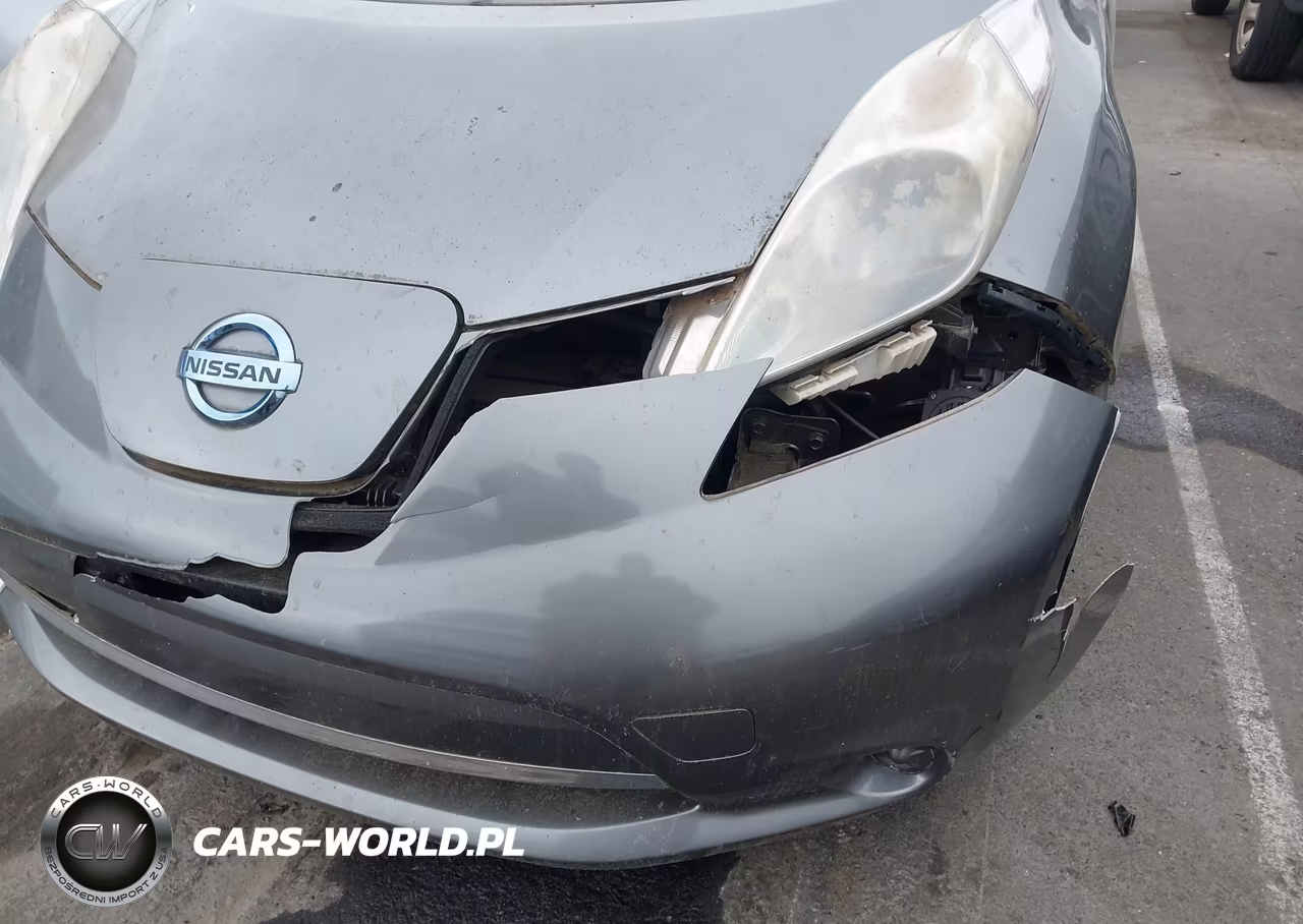 2014 Nissan Leaf S VIN:1N4AZ0CP3EC339513 - 6