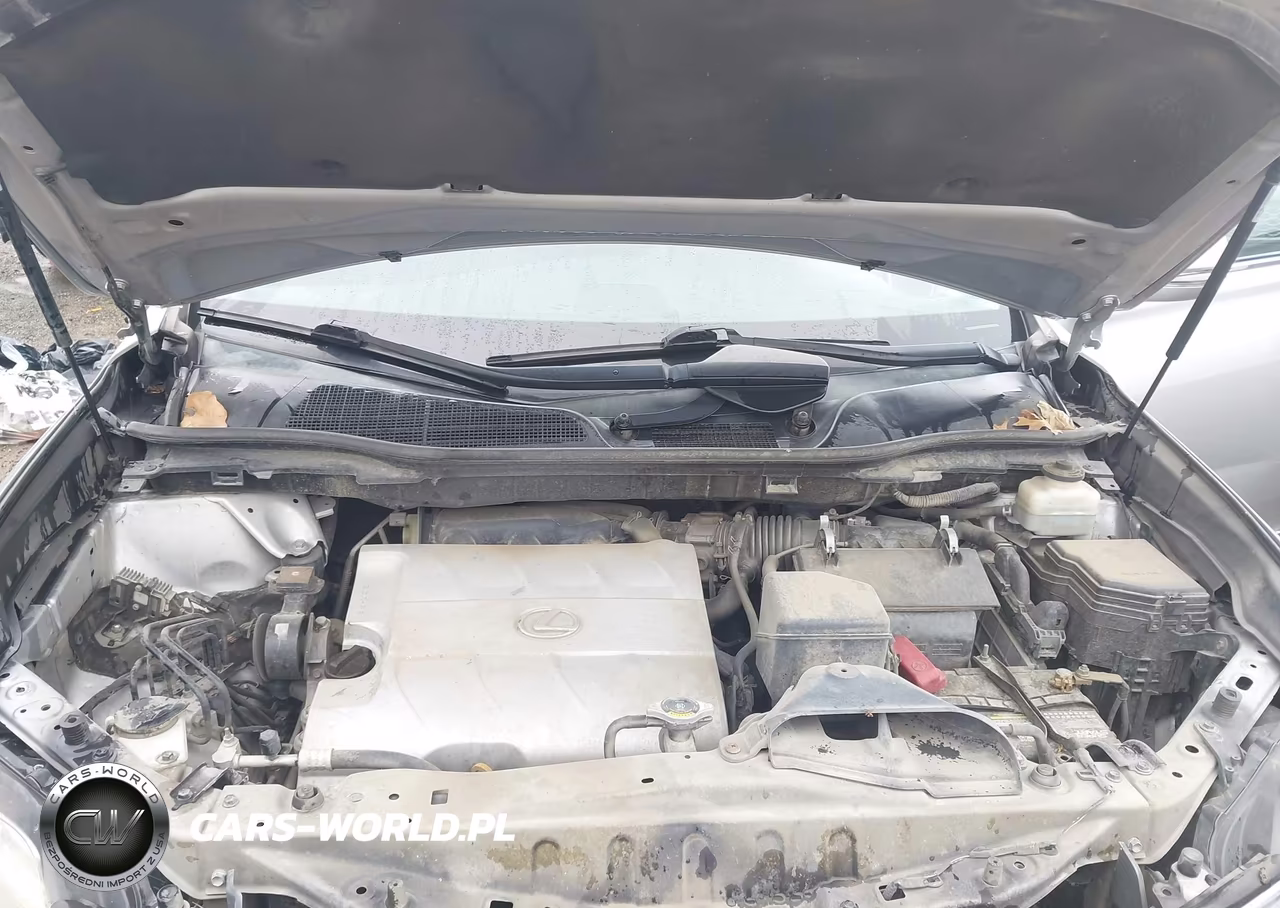 2010 Lexus Rx 350 VIN:2T2ZK1BA5AC027808 - 10