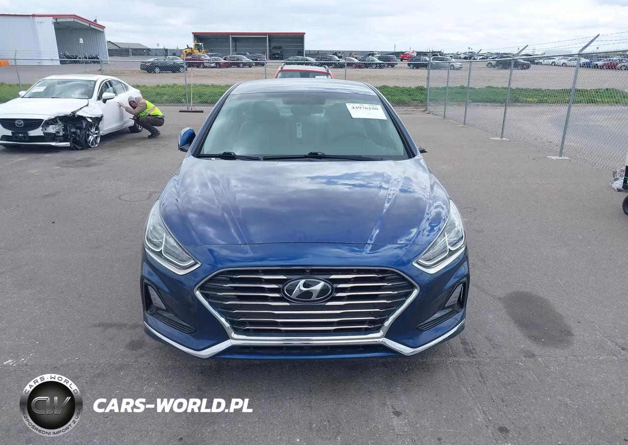2019 Hyundai Sonata Se VIN:5NPE24AF7KH800407 - 12
