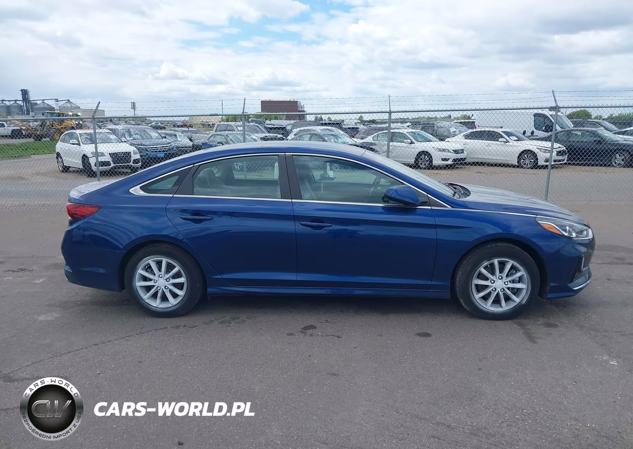 2019 Hyundai Sonata Se VIN:5NPE24AF7KH800407 - 13