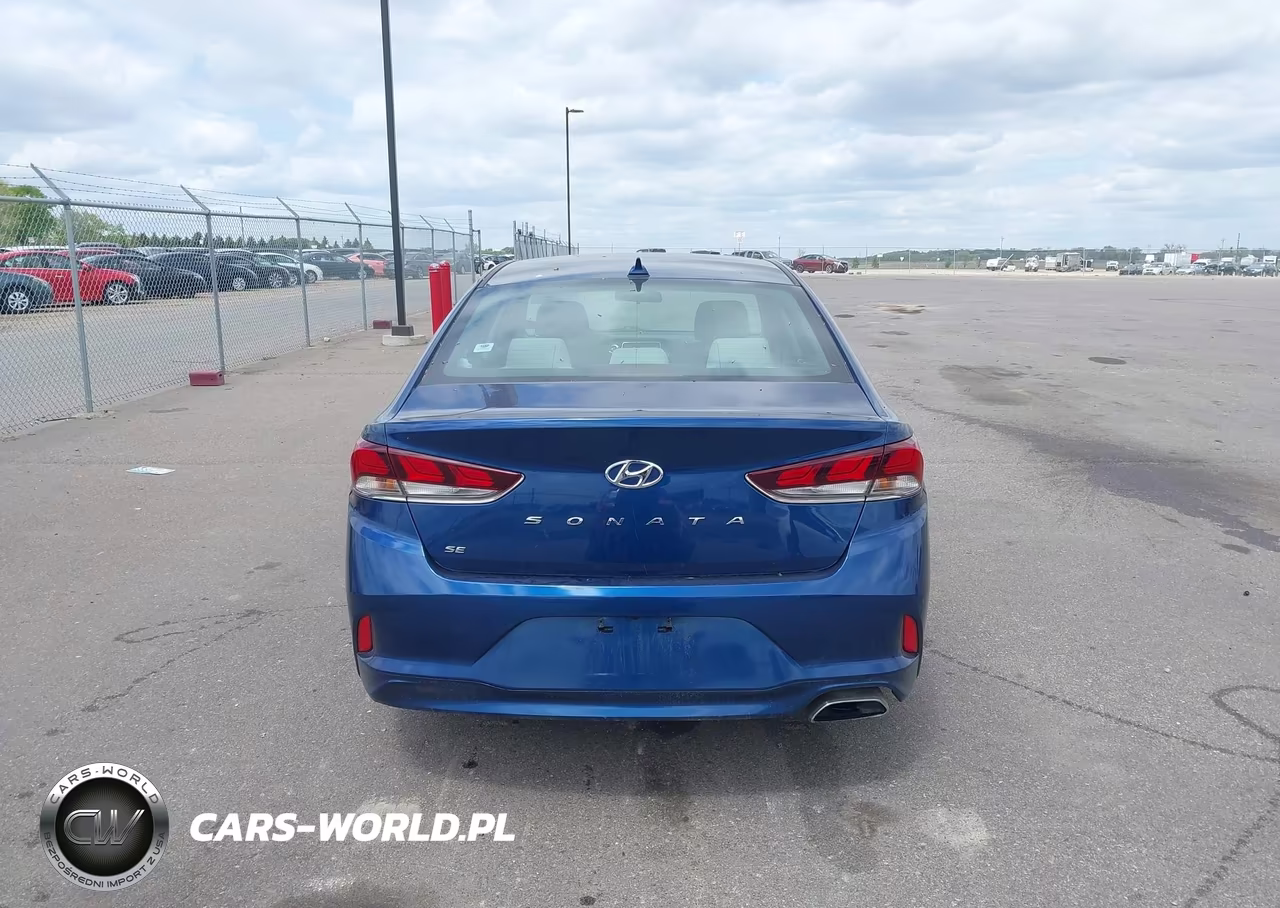2019 Hyundai Sonata Se VIN:5NPE24AF7KH800407 - 16