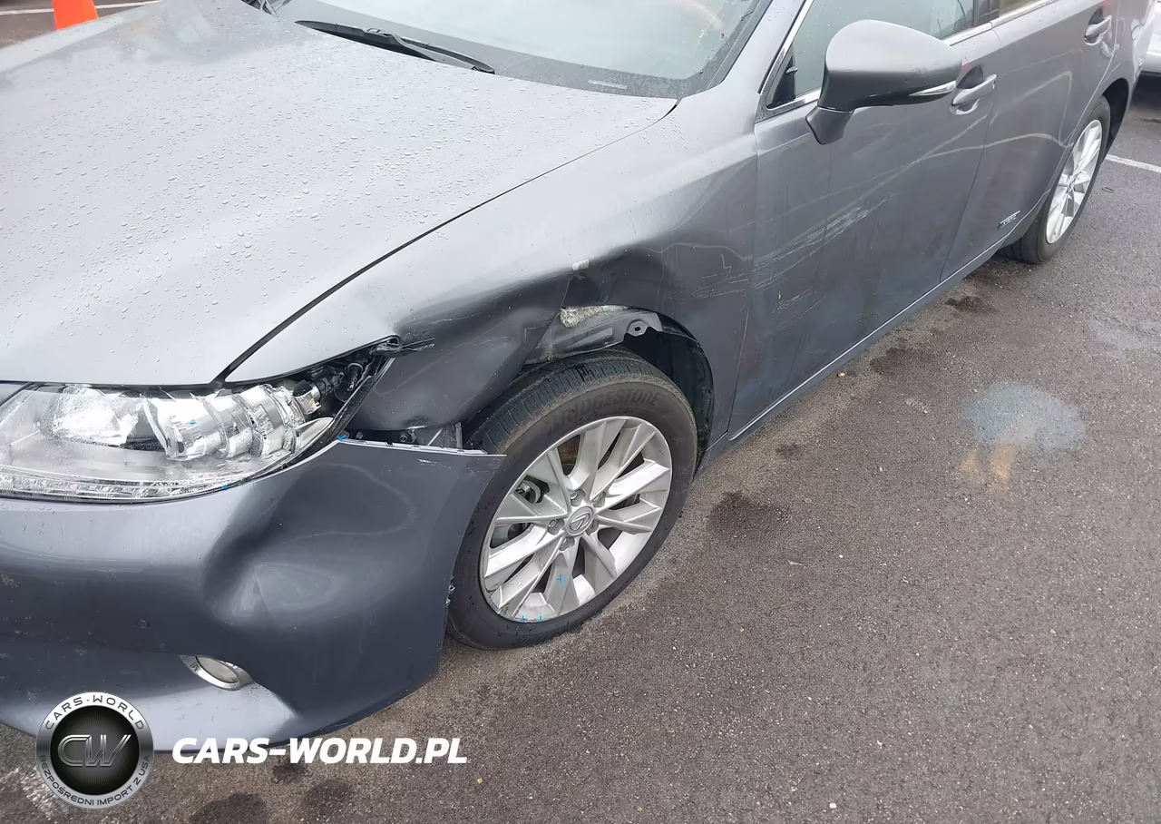 2014 Lexus Es 300H VIN:JTHBW1GG4E2046926 - 17
