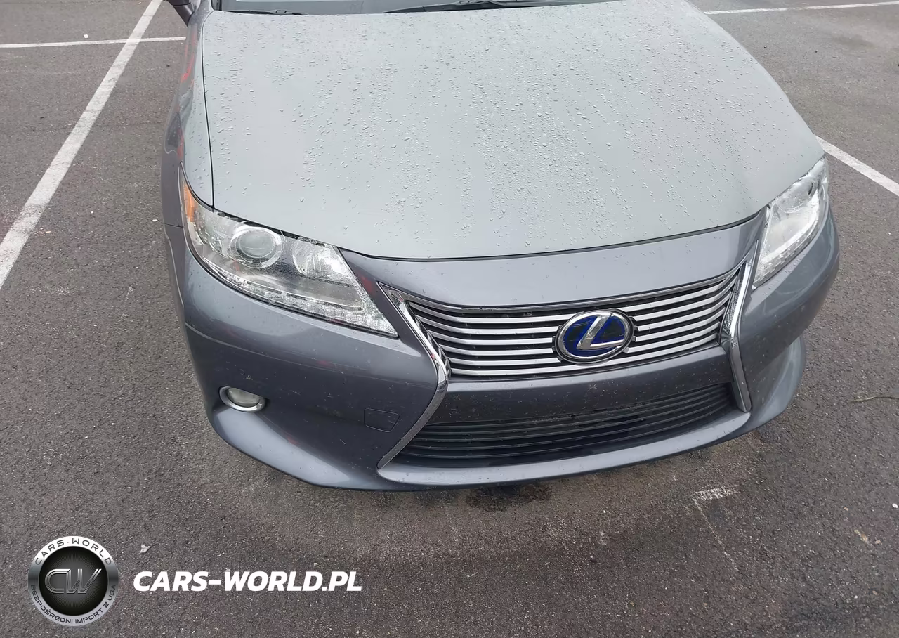 2014 Lexus Es 300H VIN:JTHBW1GG4E2046926 - 19
