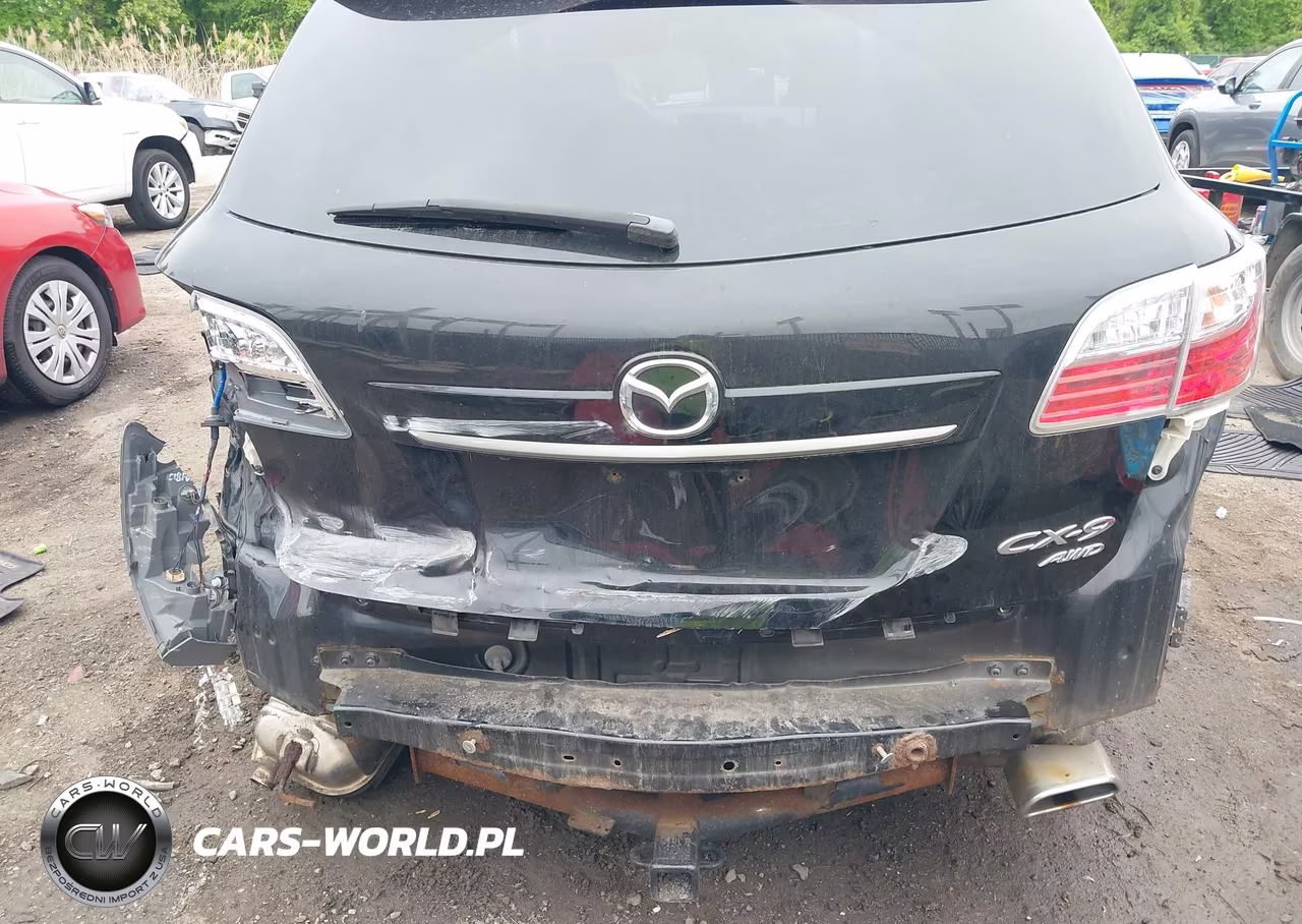 2011 Mazda Cx-9 Grand Touring VIN:JM3TB3DV1B0303359 - 18