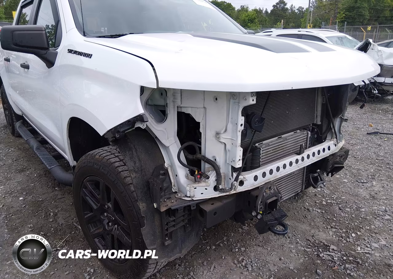 2021 Chevrolet Silverado 1500 2Wd Short Bed Custom VIN:1GCPWBEK3MZ273227 - 19
