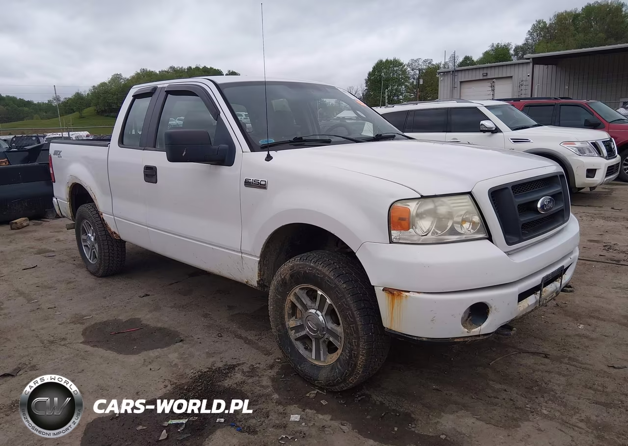2008 Ford F-150 Stx-Xl-Xlt – zdjęcie 1 z 17