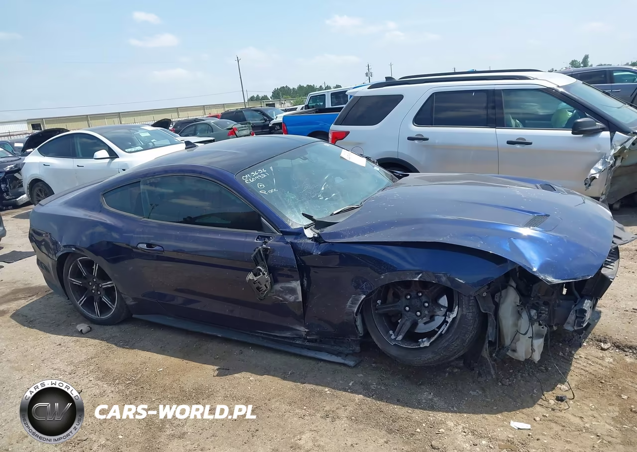 2020 Ford Mustang Ecoboost Fastback VIN:1FA6P8TH0L5162861 - 13