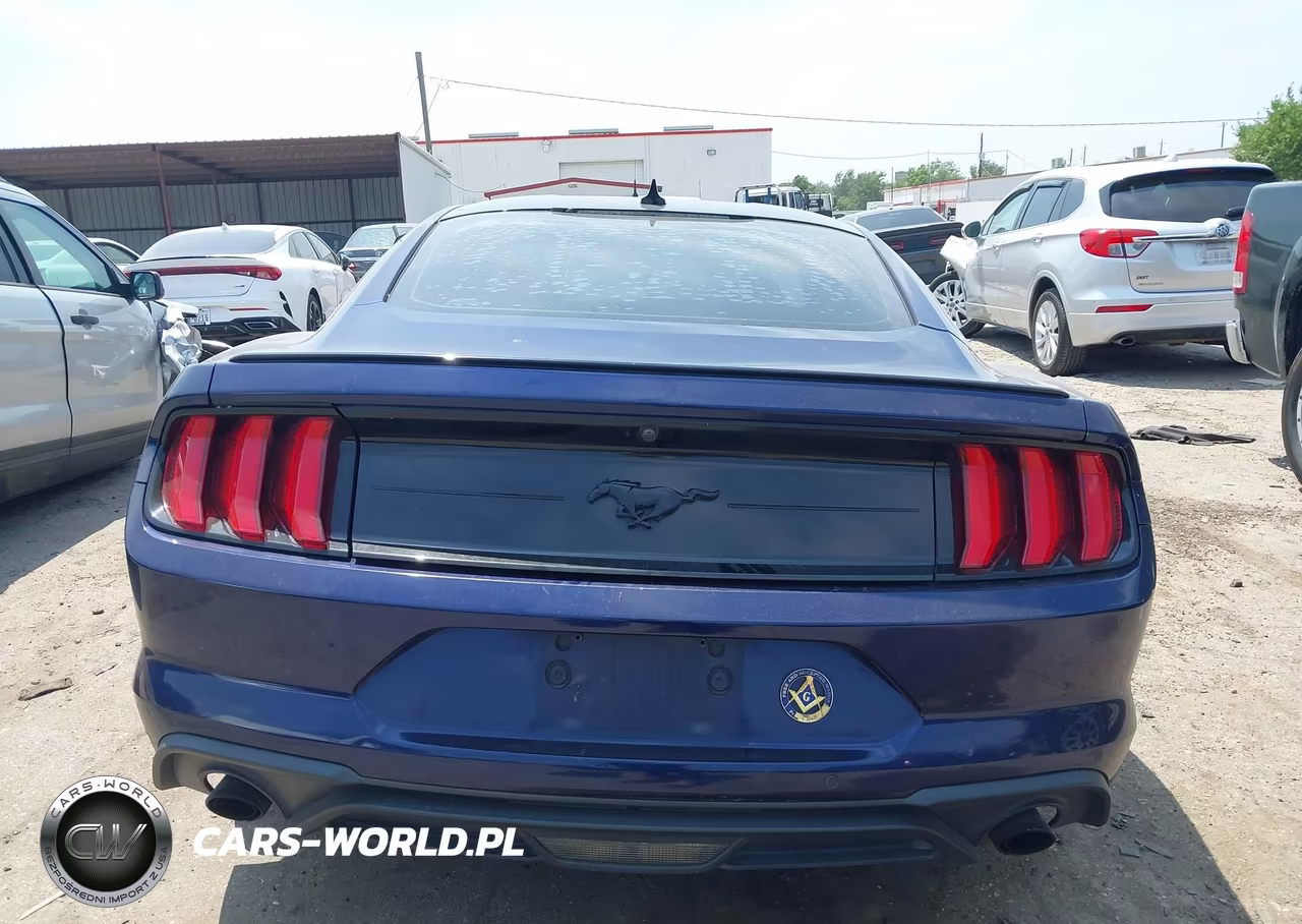 2020 Ford Mustang Ecoboost Fastback VIN:1FA6P8TH0L5162861 - 16