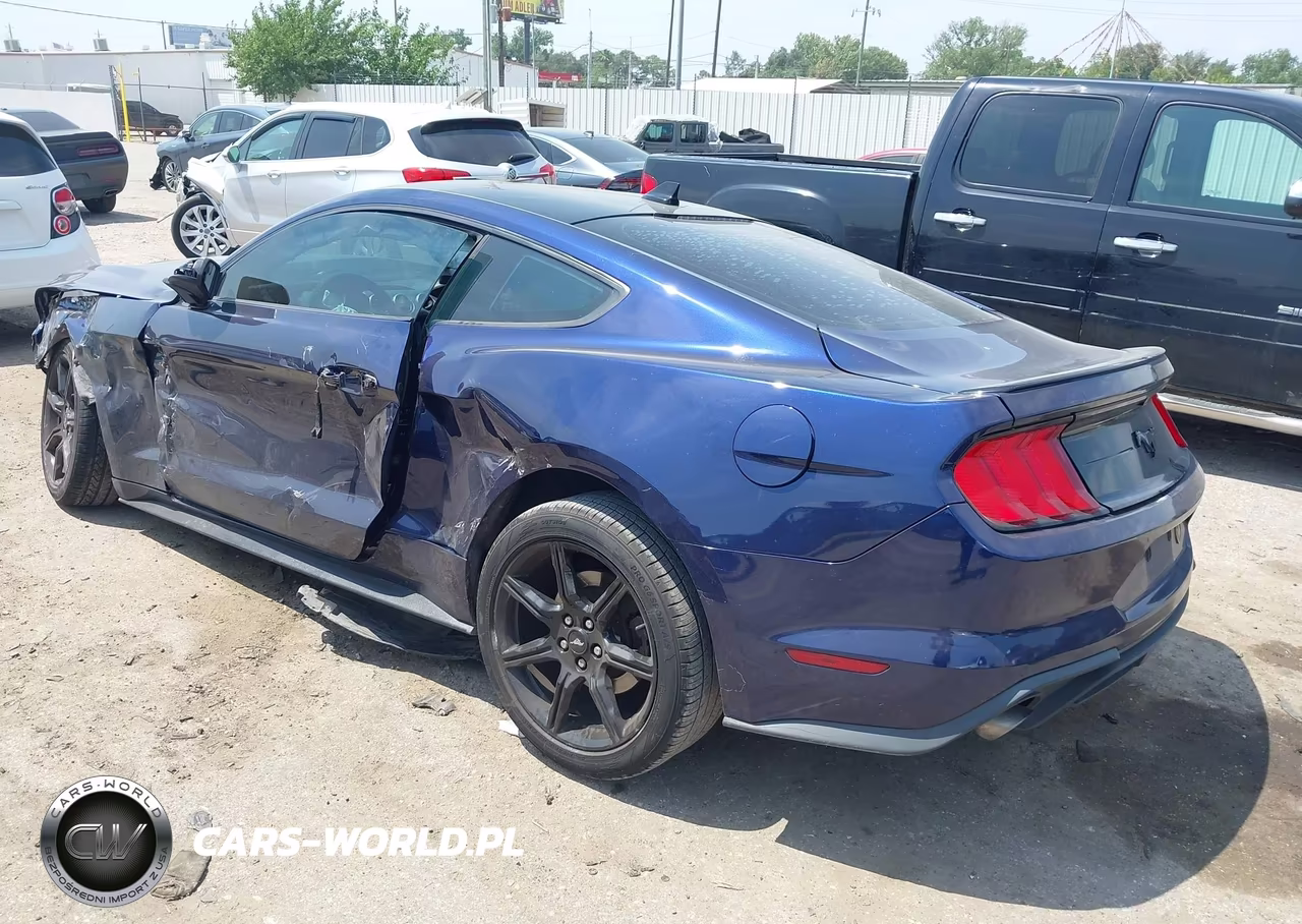 2020 Ford Mustang Ecoboost Fastback VIN:1FA6P8TH0L5162861 - 3