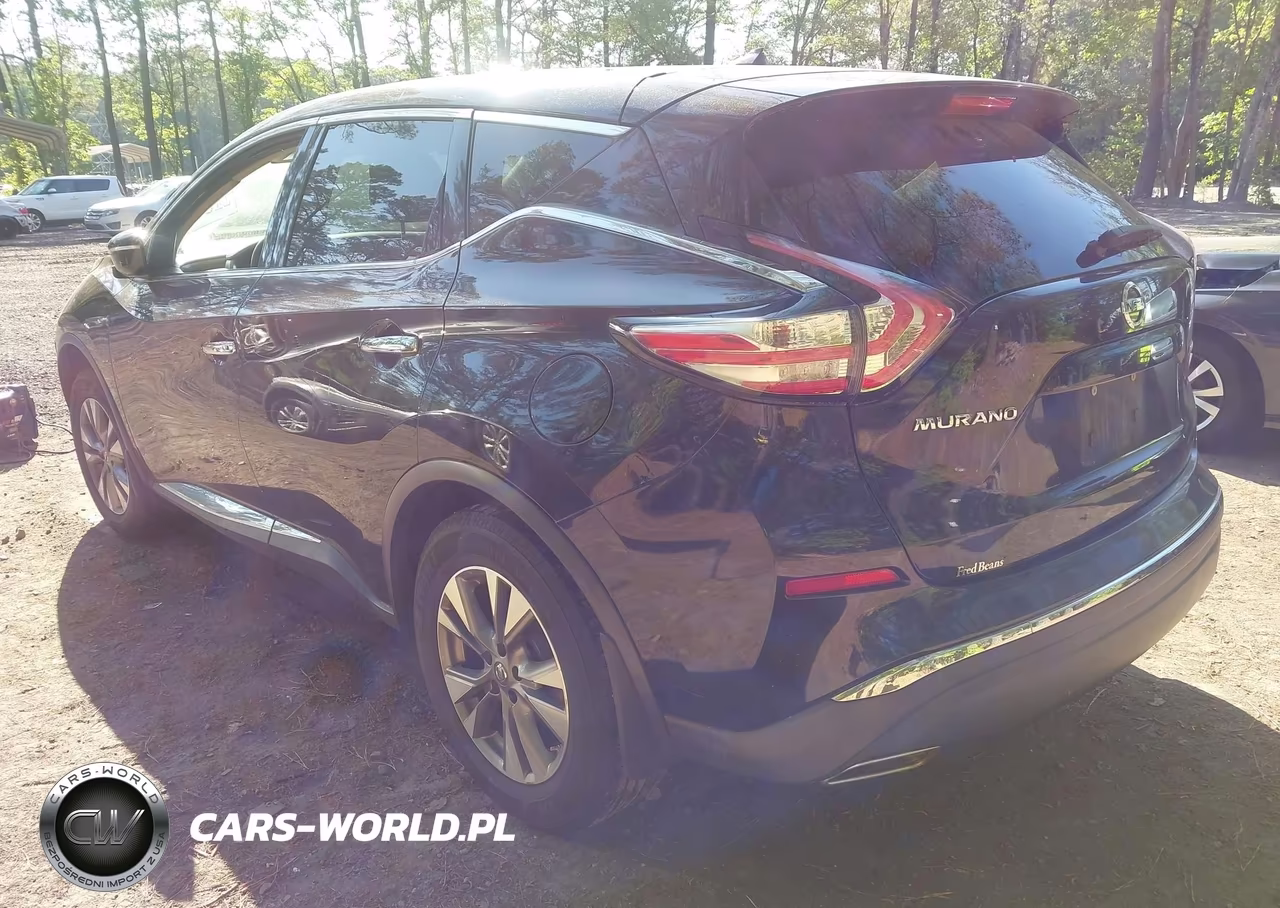 2015 Nissan Murano S VIN:5N1AZ2MH9FN282409 - 3