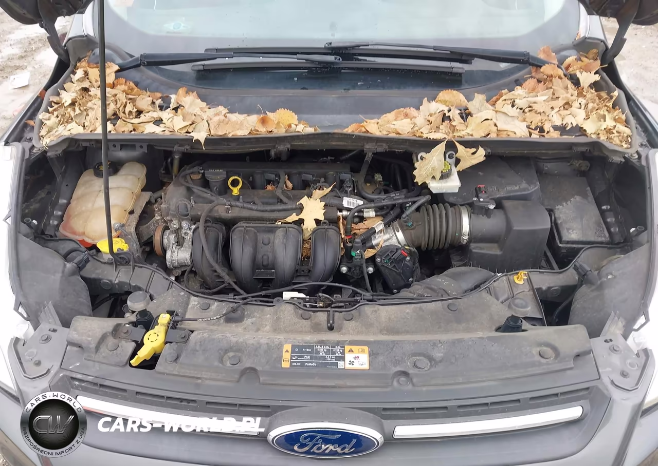 2016 Ford Escape Se VIN:1FMCU0G70GUA20378 - 10