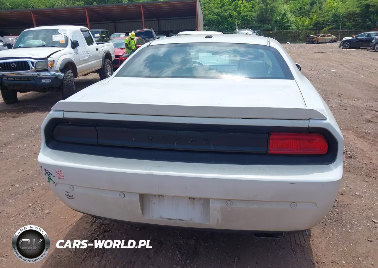 2013 Dodge Challenger Rallye Redline VIN:2C3CDYAG9DH741684 - 16