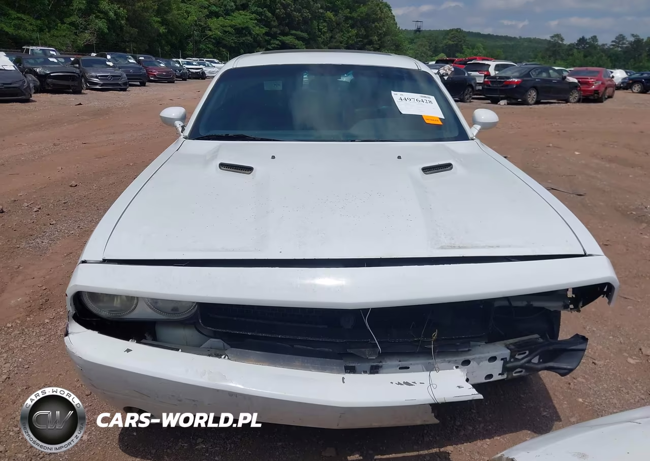 2013 Dodge Challenger Rallye Redline VIN:2C3CDYAG9DH741684 - 6