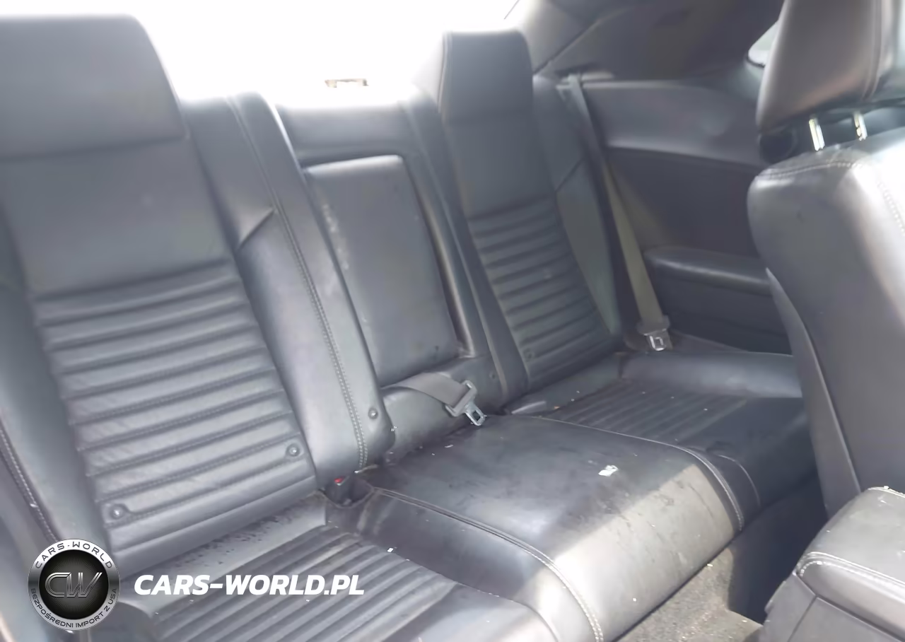 2013 Dodge Challenger Rallye Redline VIN:2C3CDYAG9DH741684 - 8