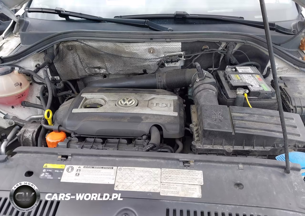 2017 Volkswagen Tiguan 2.0T-2.0T S VIN:WVGBV7AX2HK046617 - 10