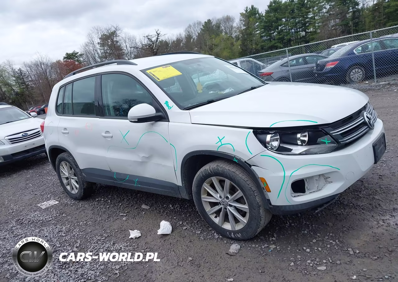 2017 Volkswagen Tiguan 2.0T-2.0T S VIN:WVGBV7AX2HK046617 - 13