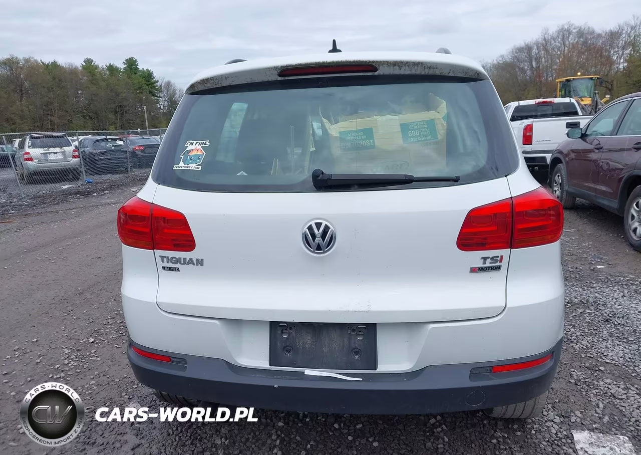 2017 Volkswagen Tiguan 2.0T-2.0T S VIN:WVGBV7AX2HK046617 - 16