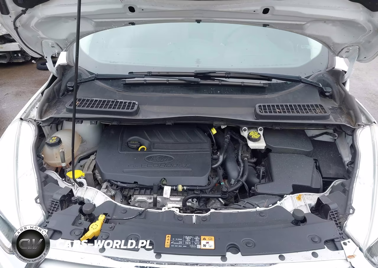 2017 Ford Escape Se VIN:1FMCU0GD2HUE14973 - 10