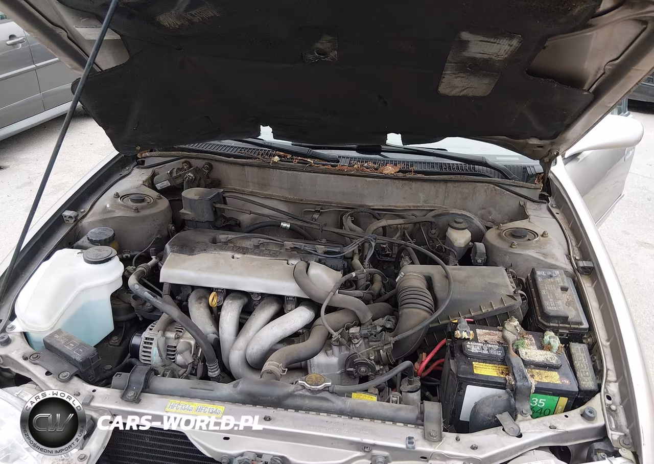 1998 Toyota Corolla Le VIN:1NXBR18E0WZ038748 - 10
