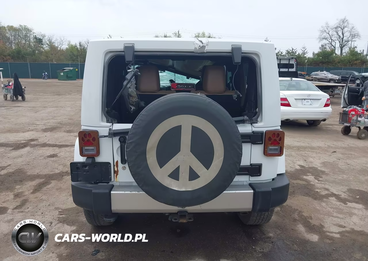 2017 Jeep Wrangler Sahara 4X4 VIN:1C4AJWBG9HL681994 - 16